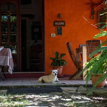 B&B La Noria San Sperate Kültér fotó