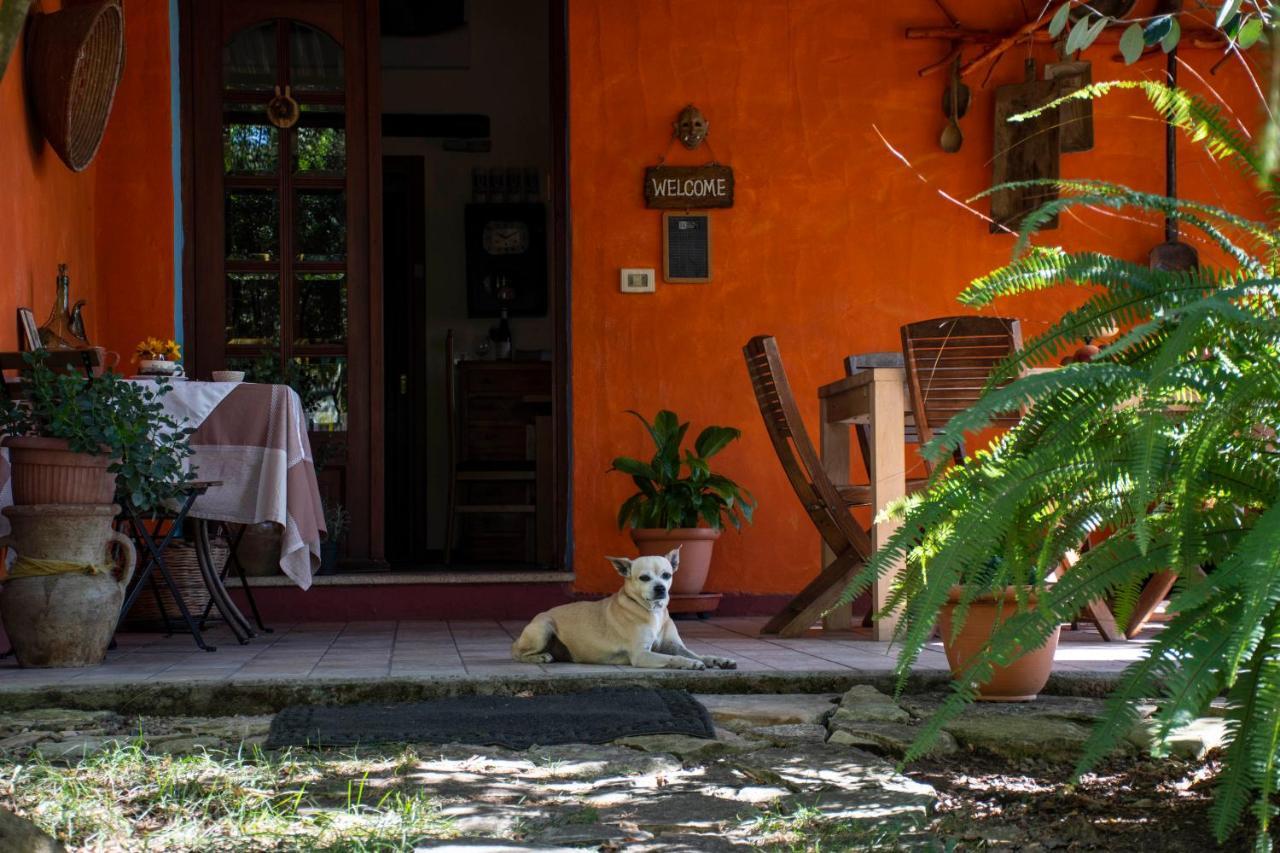 B&B La Noria San Sperate Kültér fotó
